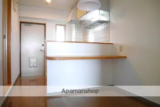 武内マンション【6階】の内装