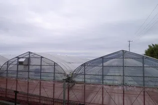 リバーサイド【1階】のその他画像