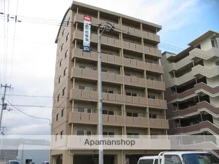 エルフィーノの画像