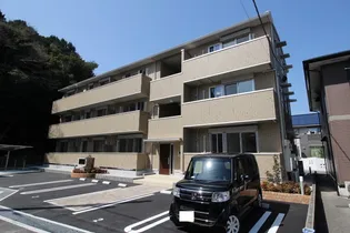 パピヨンの画像