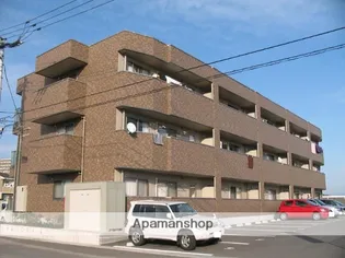 トゥジュール ヴェールの画像