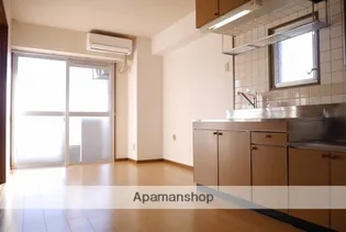 高そねマンション【6階】の内装