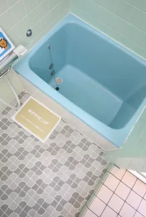 第二細木ハイツ 2棟【1階】の風呂