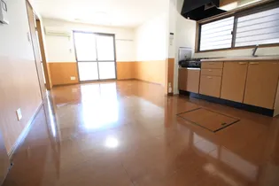 メゾン・テルシャトー B棟【B102号室】の内装