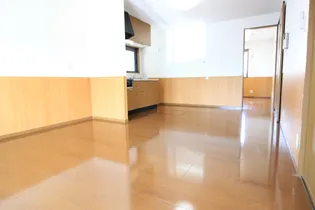 メゾン・テルシャトー B棟【B102号室】の居間