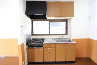 メゾン・テルシャトー B棟【B102号室】のキッチン