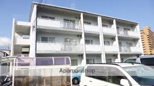 ロイヤル智晴の画像