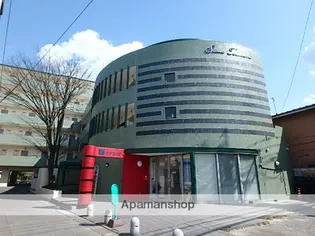 ステラ堤の画像