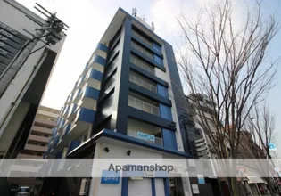 ステラ向野【5階】の外観