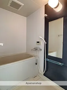 KDXレジデンス大濠ハーバービュータワー【24階】の風呂