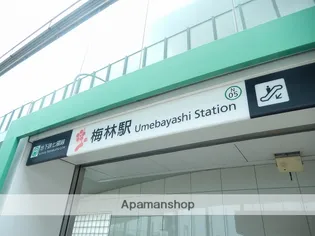 ボアビアージュ【205号室】の周辺