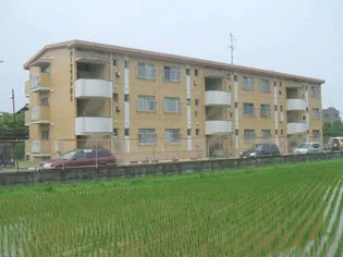 パークサイド井上の画像