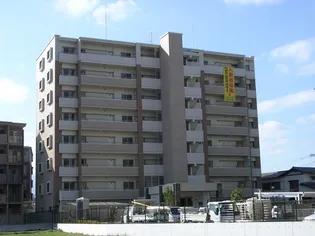 エターナルKの画像