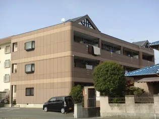 ジュノー山みず木の画像