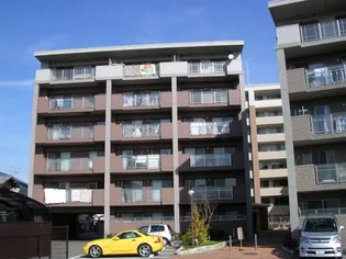 TAKA SUNRISEの画像