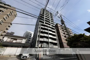 ざ 荒江の画像