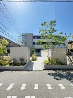 VERDE CLAROの画像