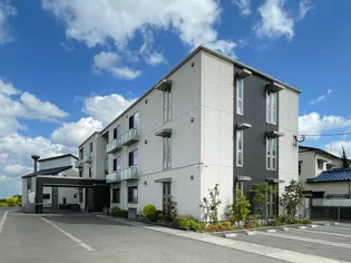 カリーノの画像