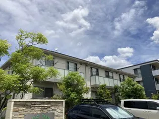 ローリエの画像