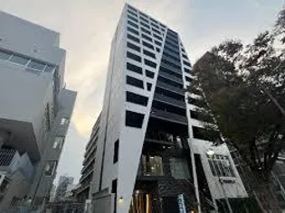 MYS CASETTA HAKATAの画像