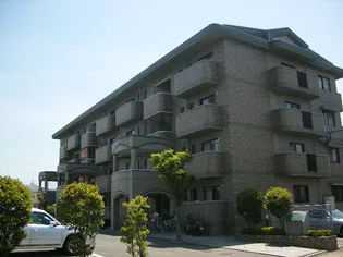 グレースマンション ヤナセの画像