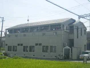 グルニエS Tの画像