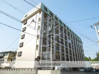 ルミエールオグシの画像