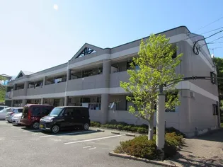 アミューズベアーⅡの画像