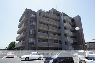 シーゲルMATSUNAGAの画像