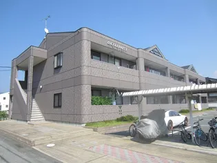 CELEBRITYの画像