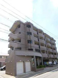 アゼリアⅡの画像