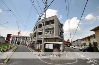 プリムローズの画像