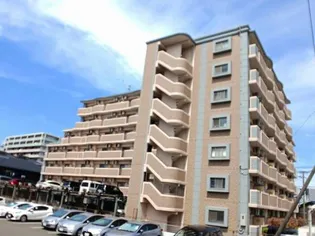 プラシード カーサの画像