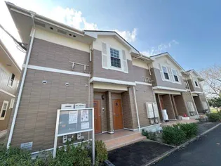 ビスターリア Cの画像