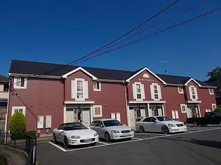 ダンディーライオンAの画像