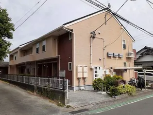 マグノリアの画像