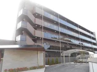 エルヴィータの画像