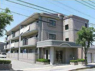 アゼリア'97の画像