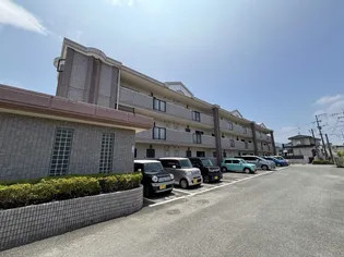 サンハイツ公園通りの画像