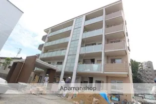 ステラモカの画像