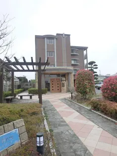 ヴィヴィットブルーの画像