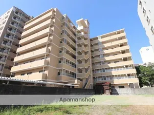 リバーサイド西新【8階】の外観