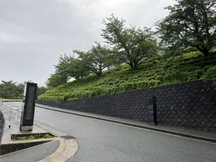 パストラルコーポ D棟【1階】の周辺