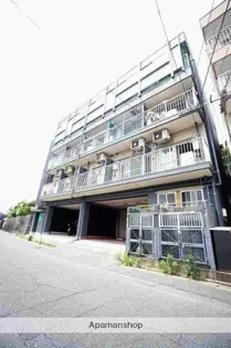 パシフィック紫IIの画像