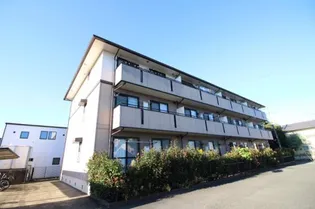 ボヌール藤の画像