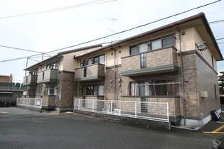 ベルメゾンT Mの画像