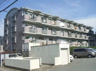 フレックス20の画像