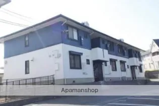 ハイカムールメイプルの画像