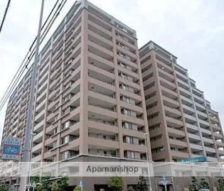 MJR和白丘の画像