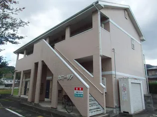 カミーリアの画像